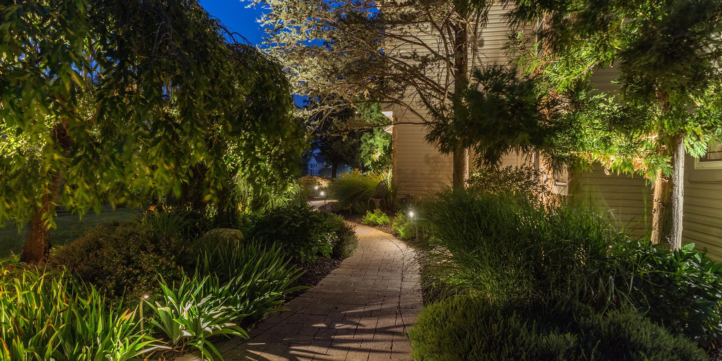 A nighttime outdoor garden path illuminated by soft landscape lighting surrounded by lush greenery.